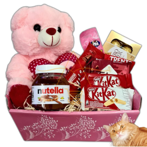 Linda Cesta De Chocolate Com Pelúcia