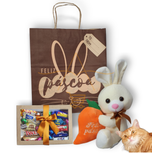 Cesta De Chocolate Pelucia Coelho Presente Namorada Na Caixa