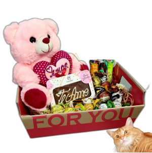 Cesta Para Namorado Chocolate Presente Promoção