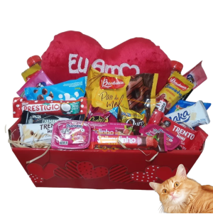 Cesta Presente Chocolate Pelucia Coração Aniversario